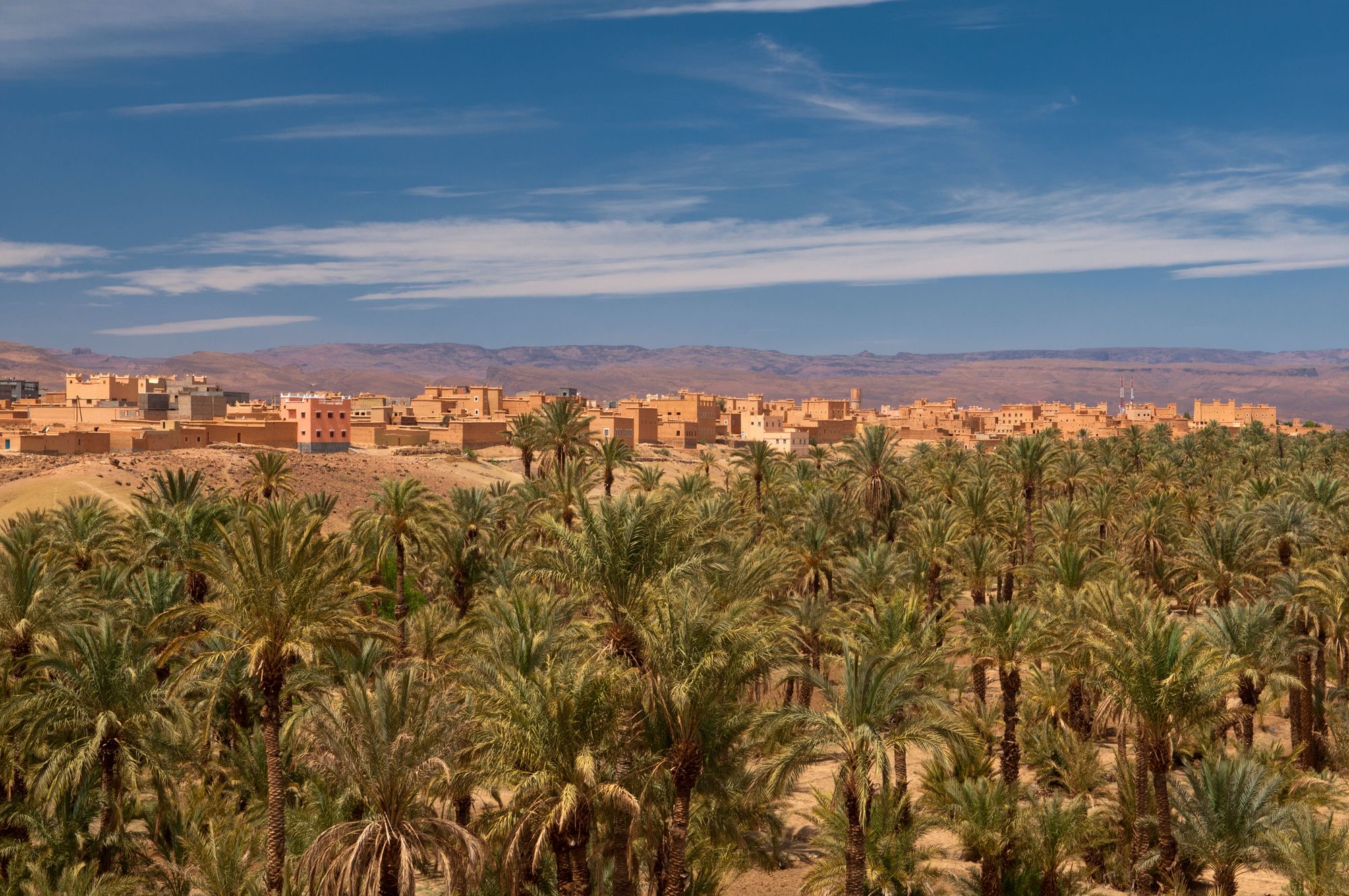 Il palmeto di N'Kob nella Valle del Drâa nel Marocco meridionale ©Dave Stamboulis Travel Photography/Getty Images
