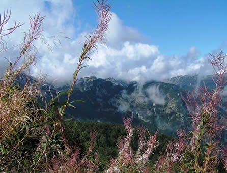 Slovenia, aspettando la neve © Fotografia di Alberto Musu