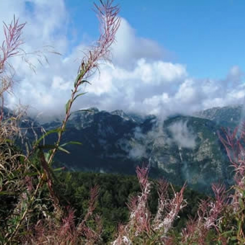 Slovenia, aspettando la neve © Fotografia di Alberto Musu