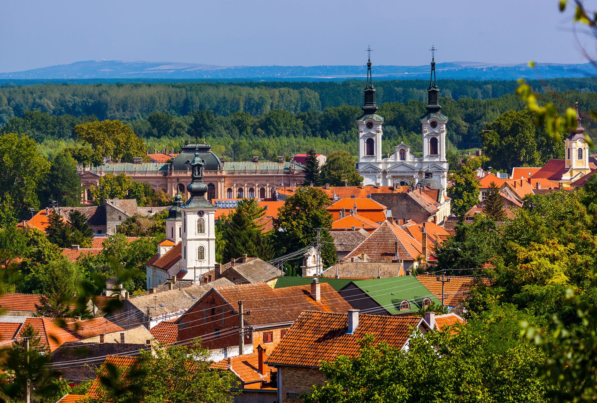 Appena fuori Novi Sad, Sremski Karlovci e la Fruška Gora sono costellate di piccole aziende vinicole © Tatiana Popova /Shutterstock