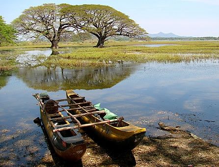 Sri Lanka, riflessi di un paradiso ritrovato © Fotografia di Elizaveta Chouryguina