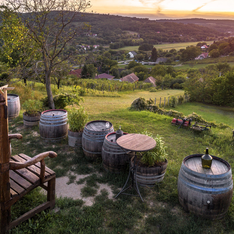 Nella regione del Tokaji, Ungheria ©Visit Hungary