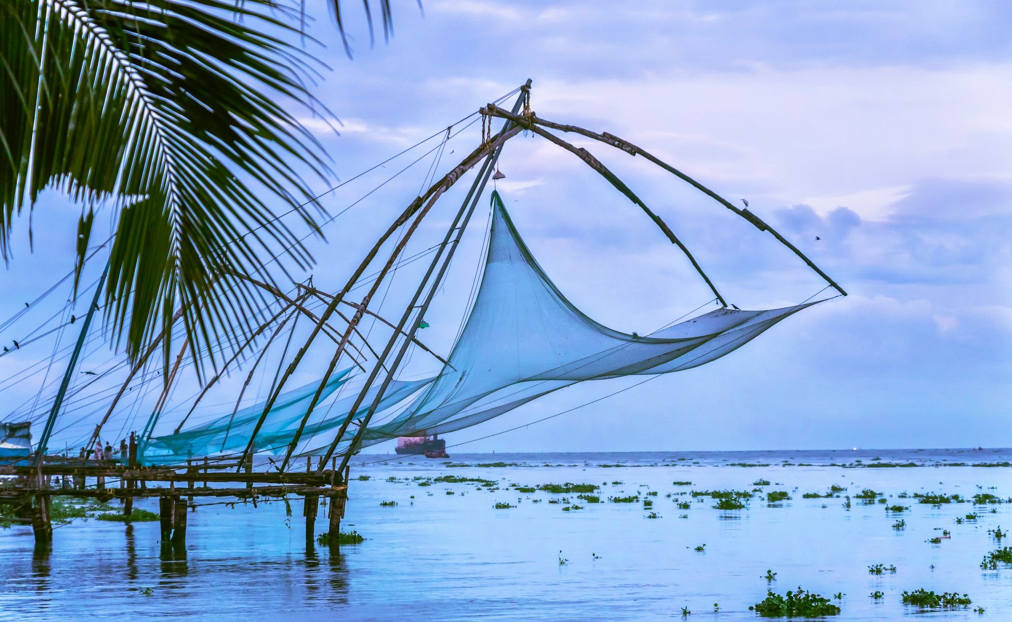Le reti da pesca cinesi di Fort Kochi ©VJverma_111 /Shutterstock