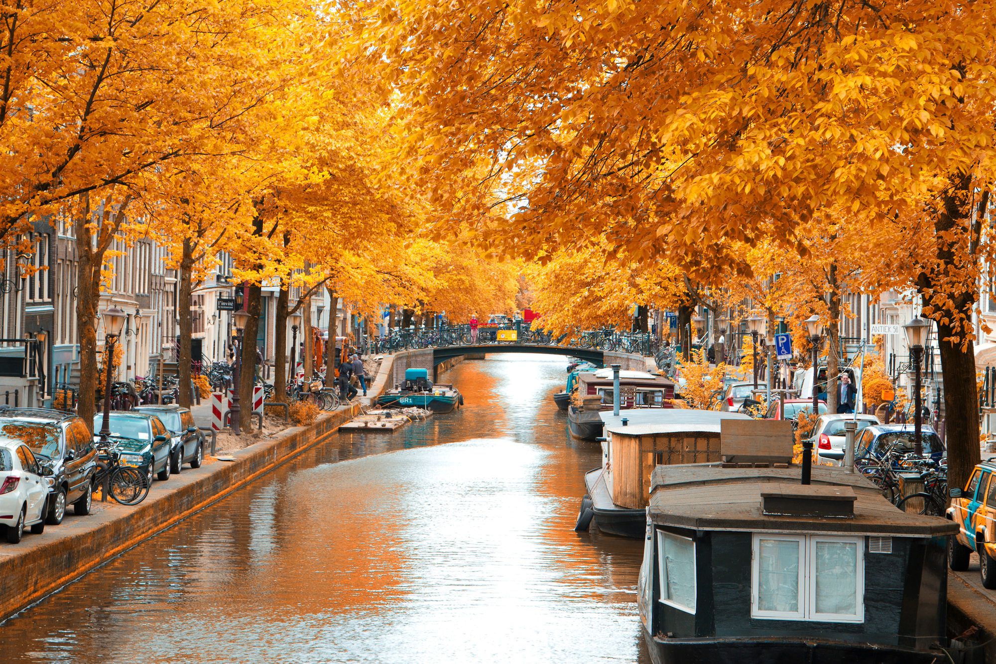 I canali di Amsterdam in autunno ©Skreidzeleu/Shutterstock