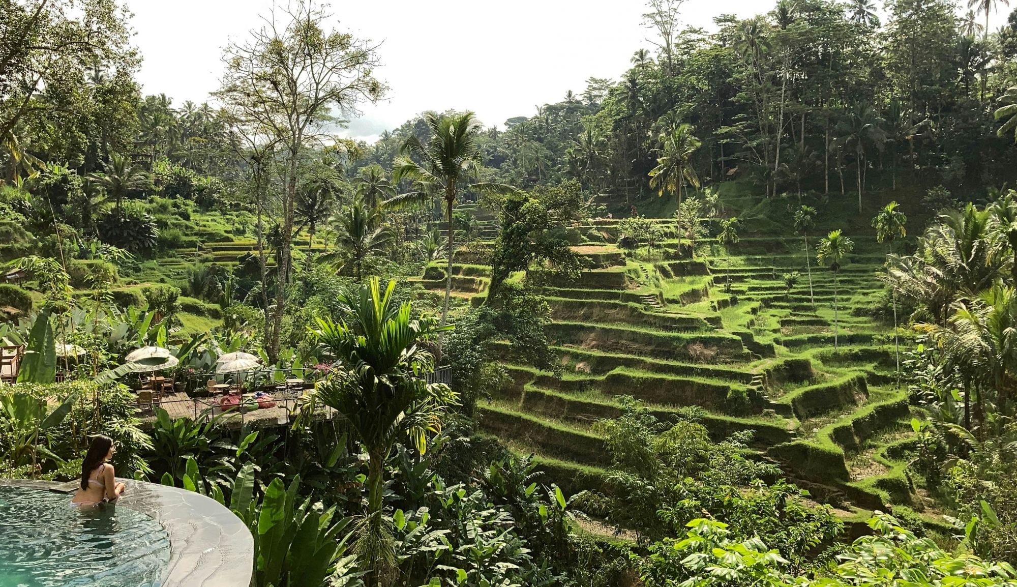Momenti perfetti da immortalare a Ubud. © Asyraf Rasid 90/Shutterstock