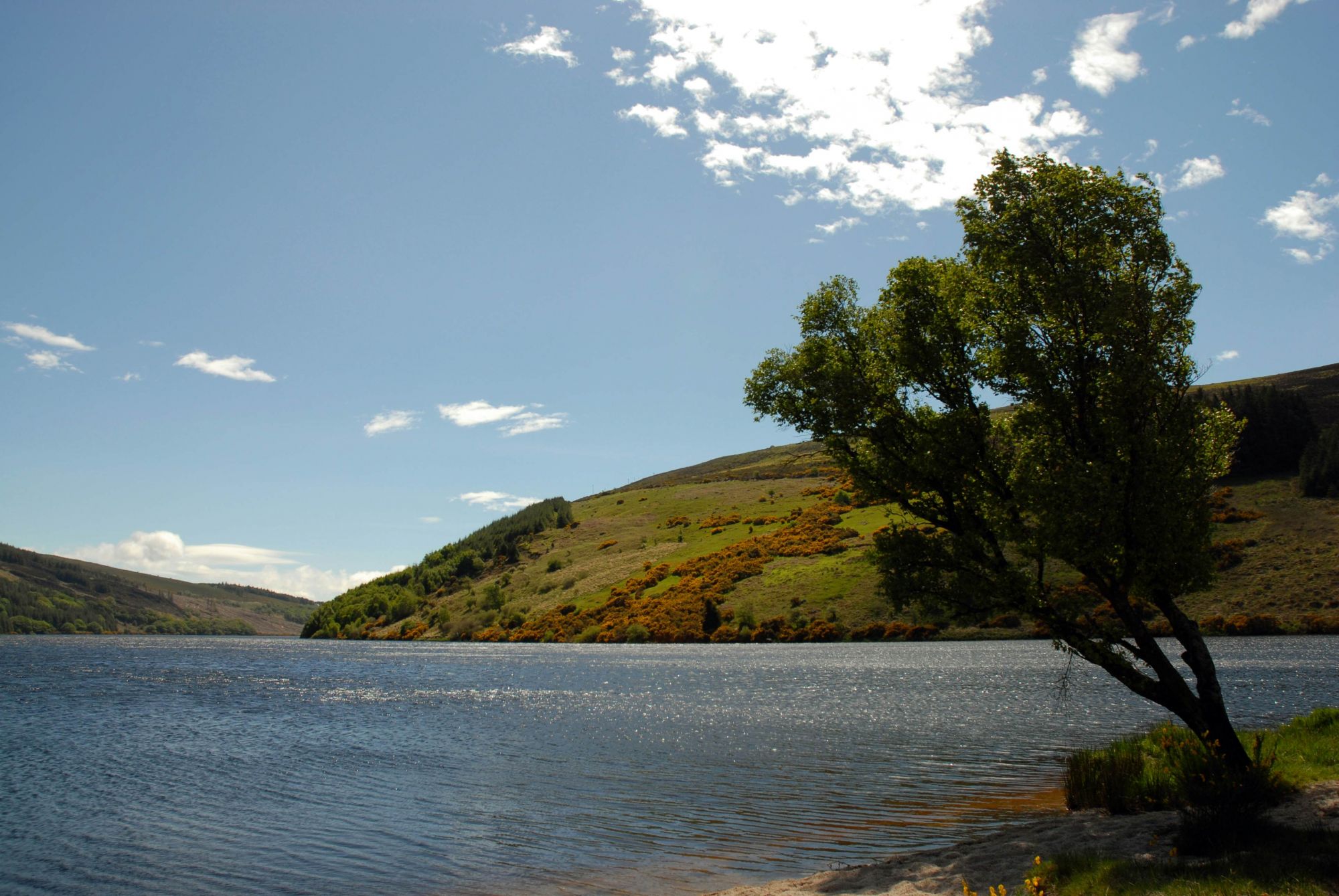 Lough Dan, Wicklow. © Bohoe/Getty Images