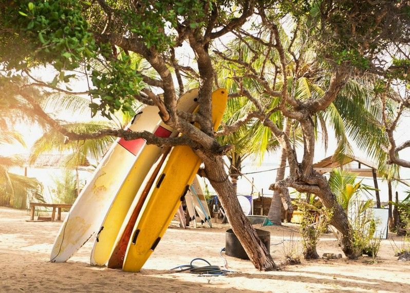 Tavole da surf parcheggiate sulla spiaggia a Arugam Bay, Sri Lanka. © Elke Meitzel / Getty Images
