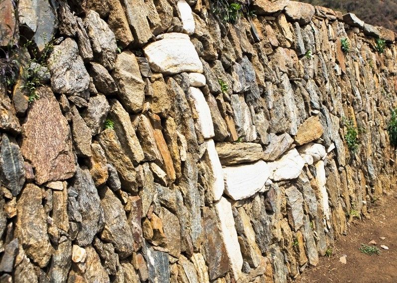 terrazze decorate da un mosaico di bianchi lama. Choquequirao, Perù ©Glowimages/Getty Images