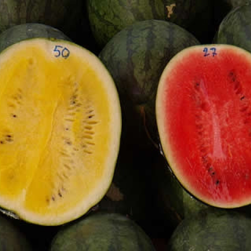 Thailandia, non resterai a bocca asciutta © Fotografia di Stefano Galletta