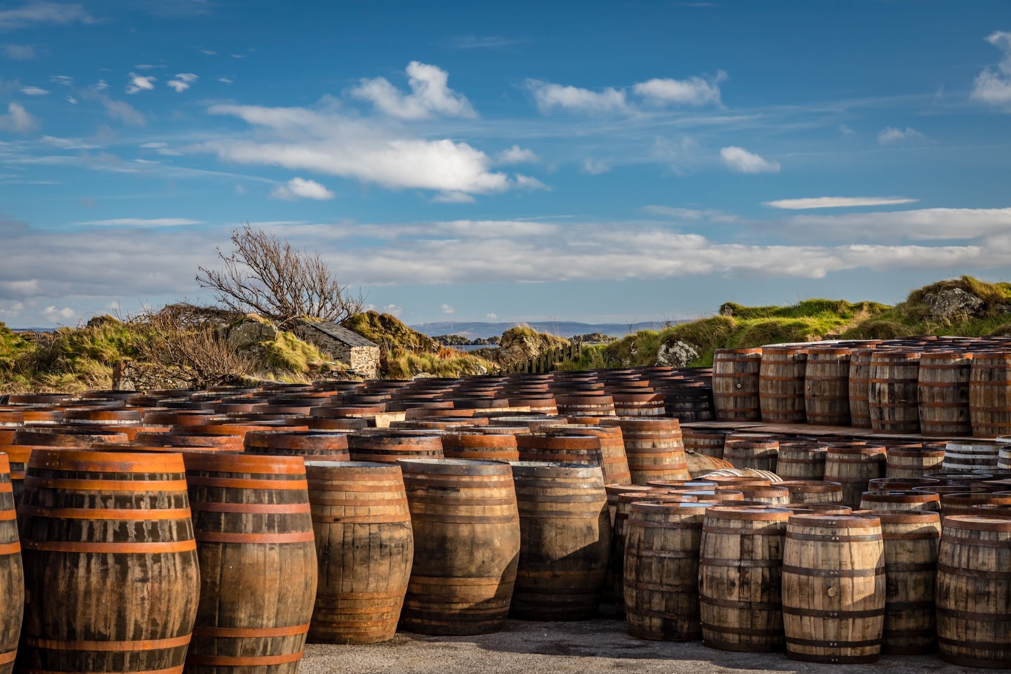 Le botti di whisky di fronte ala distilleria Ardbeg © Chris W Anderson /Shutterstock