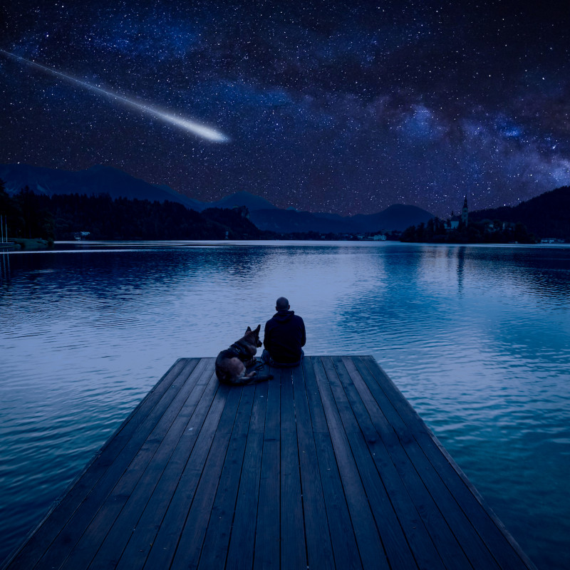 Lo sciame di meteoriti delle Perseidi raggiungerà il picco la notte del 12 agosto 2023 © marcin jucha / Shutterstock