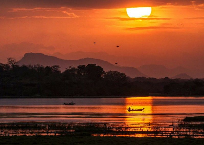 Tramonto sulla laguna, Sri Lanka. © Utopia_88 / Getty Images