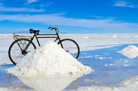 Trova una bici diversa da questa © Fotografia di Sergio Boccadutri