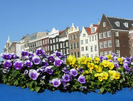 Tutto pronto, Amsterdam è in fiore © Fotografia di Anna Rita Gioielli