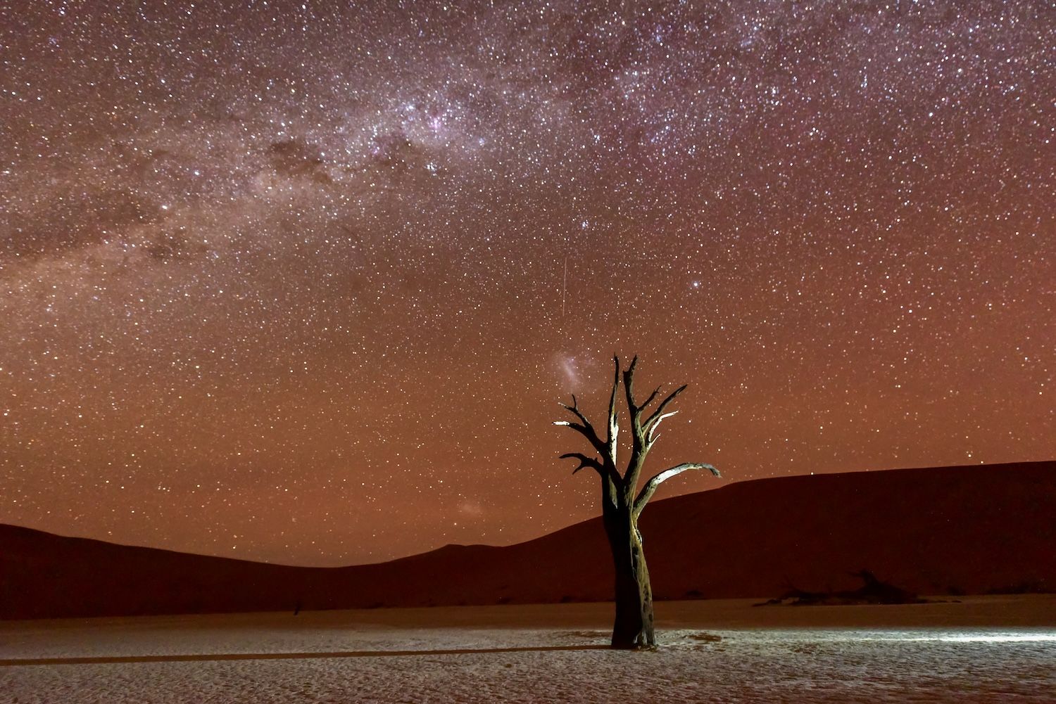 Il cielo stellato nel deserto © Felix Lipov/Shutterstock