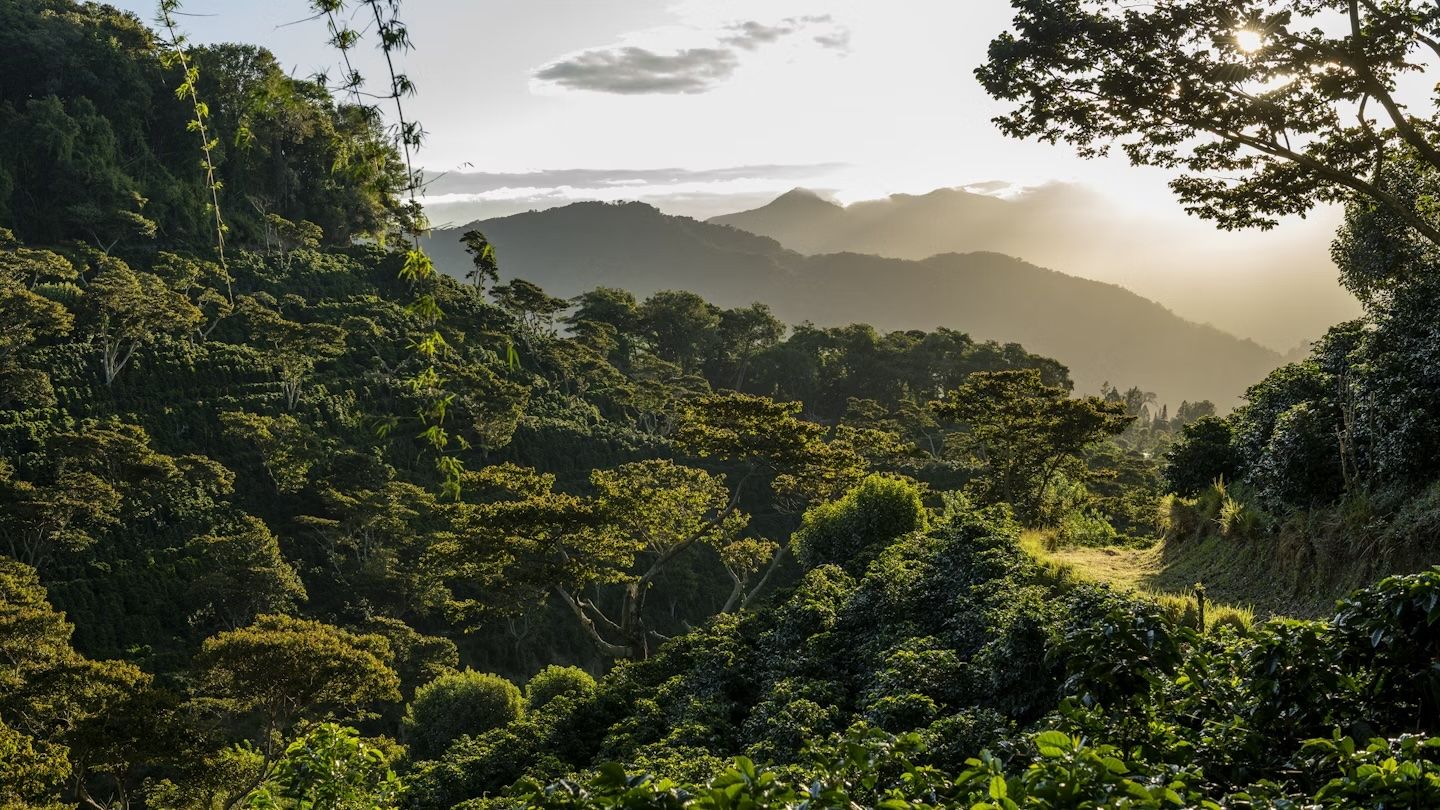 Pianificate il vostro soggiorno nella provincia di Chiriquí, a Panama, con questi consigli © Cavan Images / Getty Images
