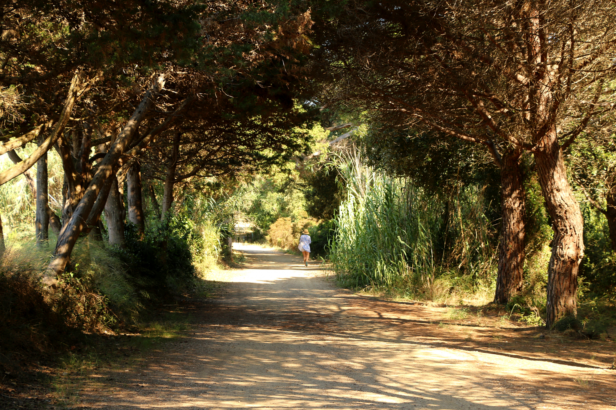 isole hyeres, provenza