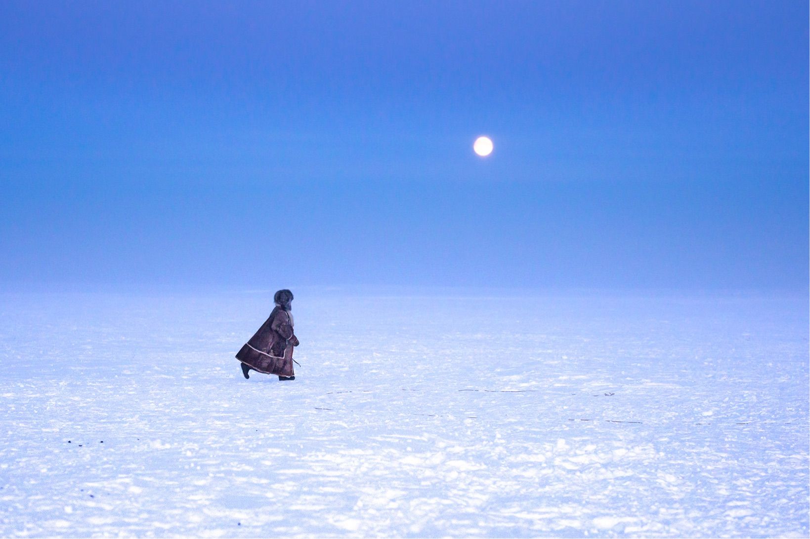 La luna illumina la tundra