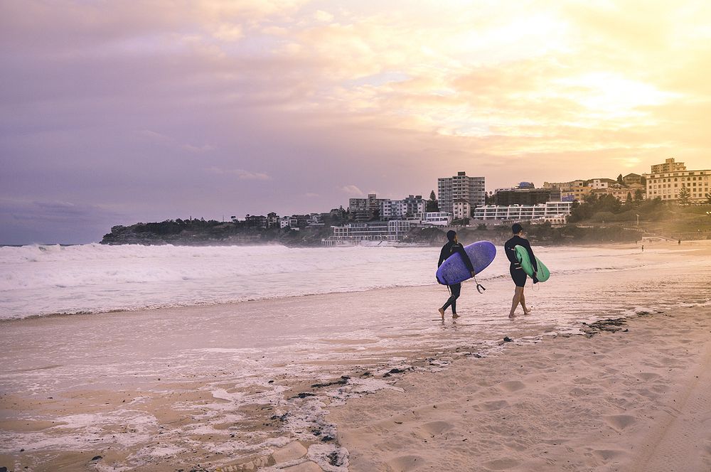 Surf a Bondi Beach. Credits Marina J / Shutterstock