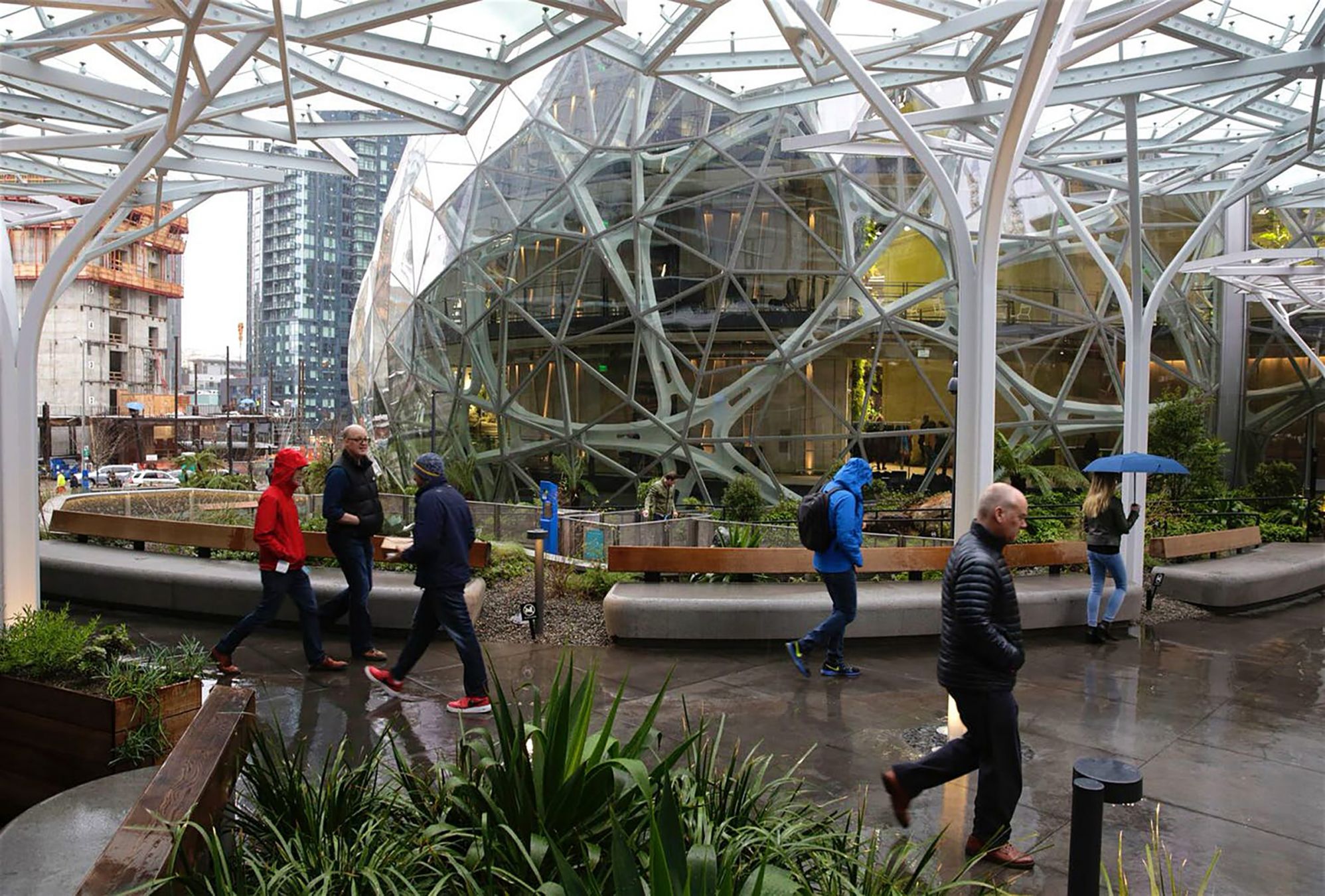 Nel gennaio 2018 Amazon ha inaugurato i suoi nuovi uffici di Seattle, un ambiente simile a una foresta pluviale © JasonRedmond/AFP/Getty Images