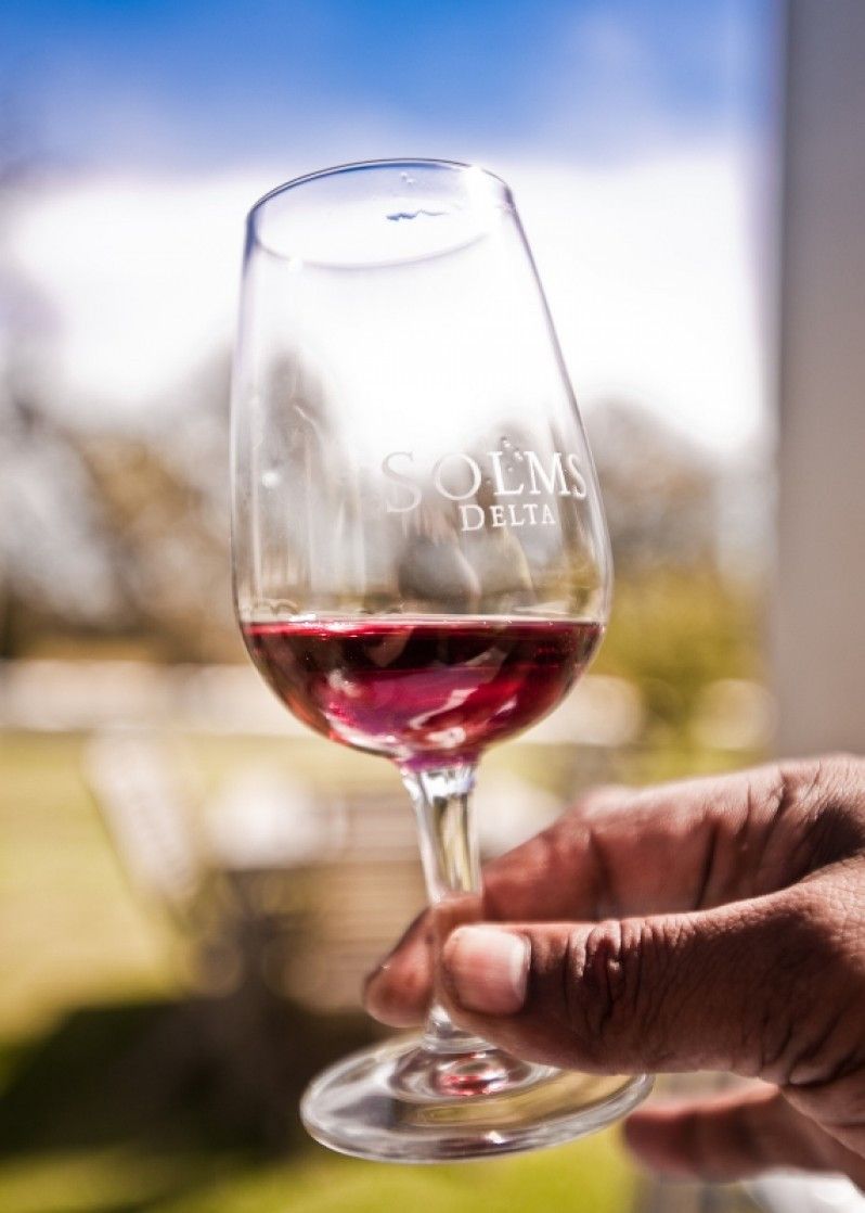 Un bicchiere di shiraz nell'azienda vinicola Solms-Delta, Sudafrica.
©Gary Latham/Lonely Planet