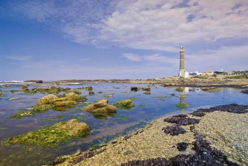 Un faro lampeggiante, Uruguay. Foto di Grambo/Tutte Canada Photos/Getty Images