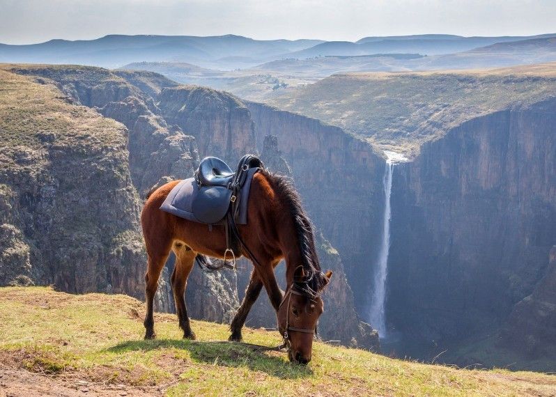 Un pony Basuto davanti alle cascate Maletsunyane, Lesotho.
©Fabian Plock/Shutterstock