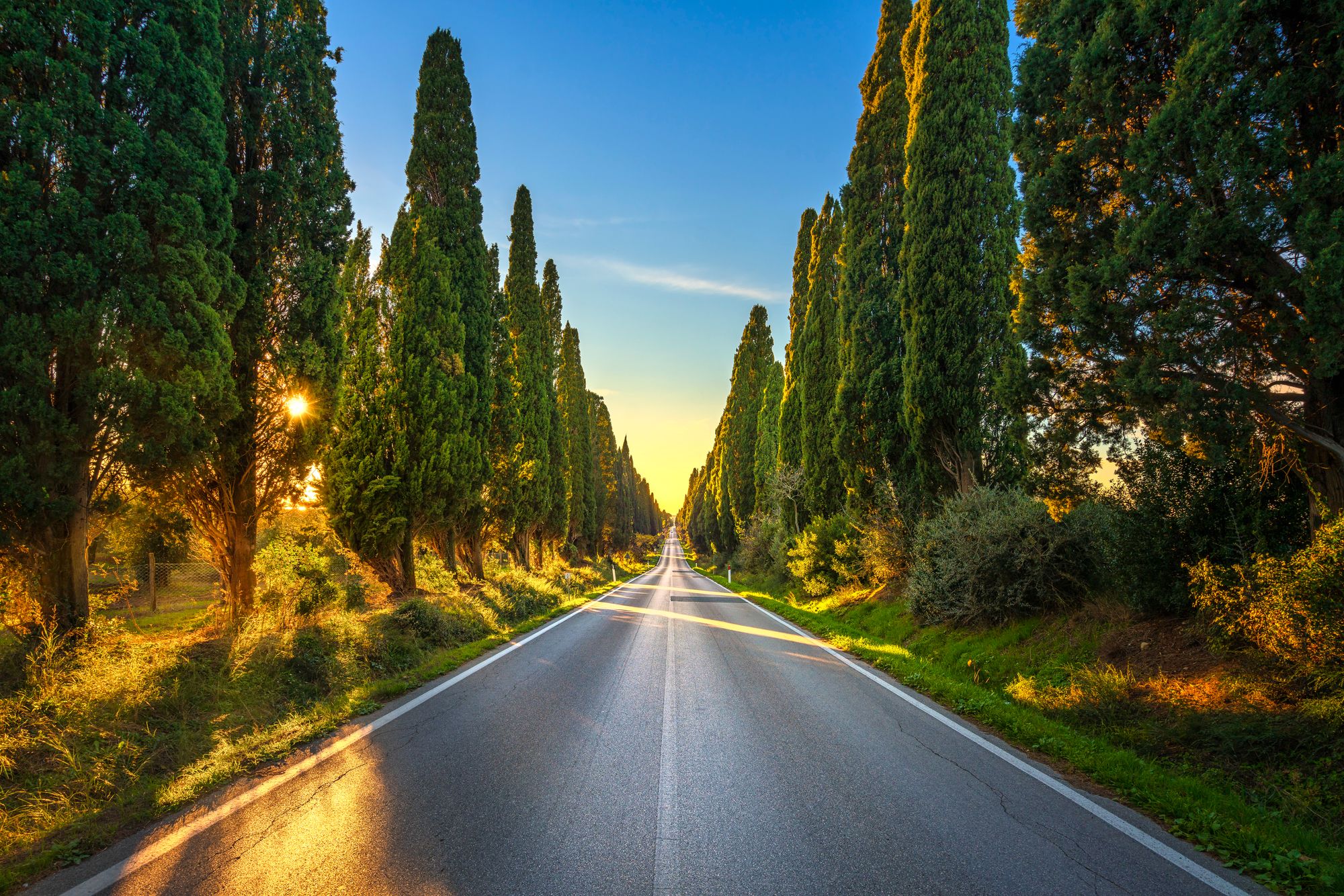 Il viale dei cipressi di Bolgheri, ©StevanZZ / Shutterstock