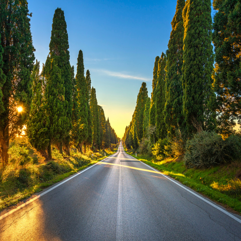 Il viale dei cipressi di Bolgheri, ©StevanZZ / Shutterstock