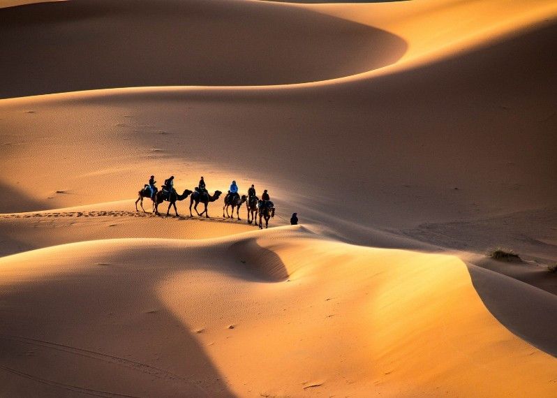 Una carovana di cammelli nel delle dune di Erg Chebbi in Marocco.
©evenfh/Shutterstock