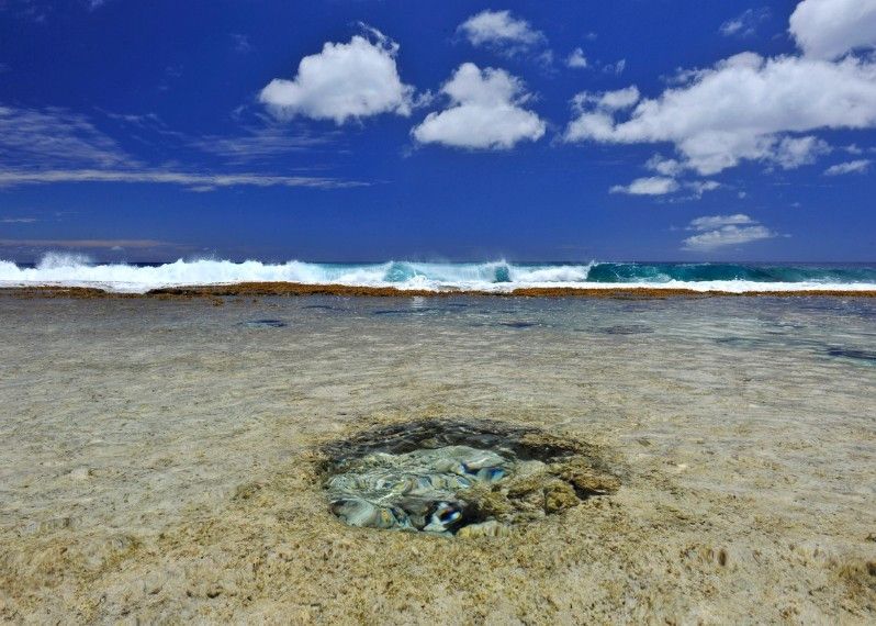 paesaggi tropicali alle Isole Cook