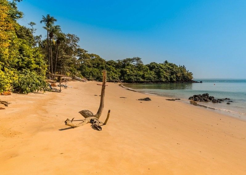 Una spiaggia deserta sull'isola di Bijagos, West Africa, Guinea Bissau. ©Damian Pankowiec/Shutterstock