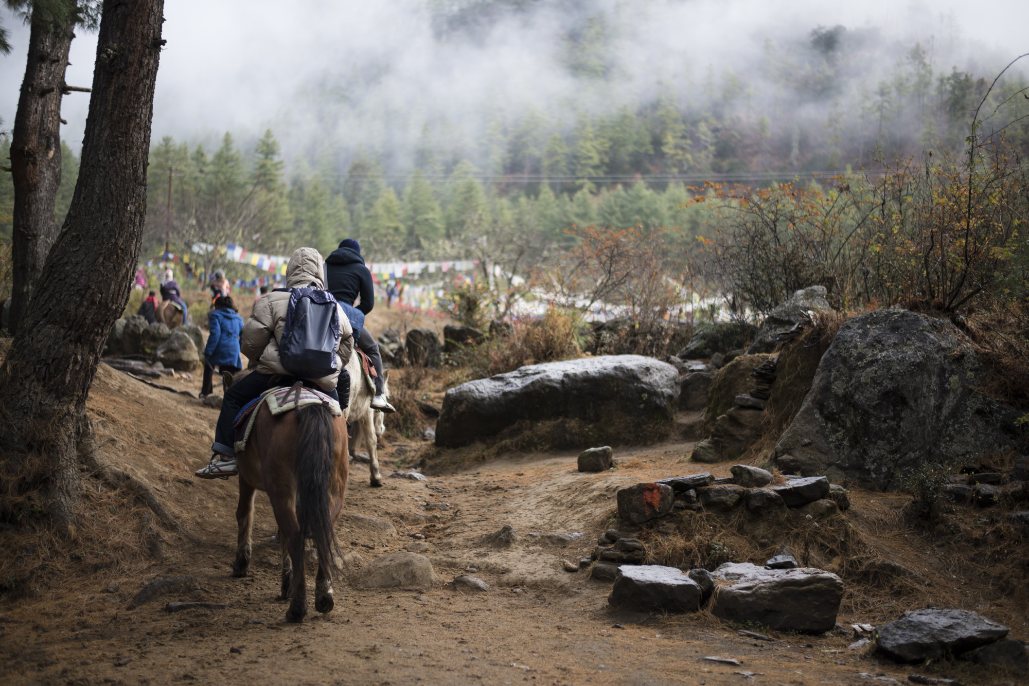 In marcia verso Taktshang Goemba ©Shutterstock / Nopawut Kanjanapinyowong