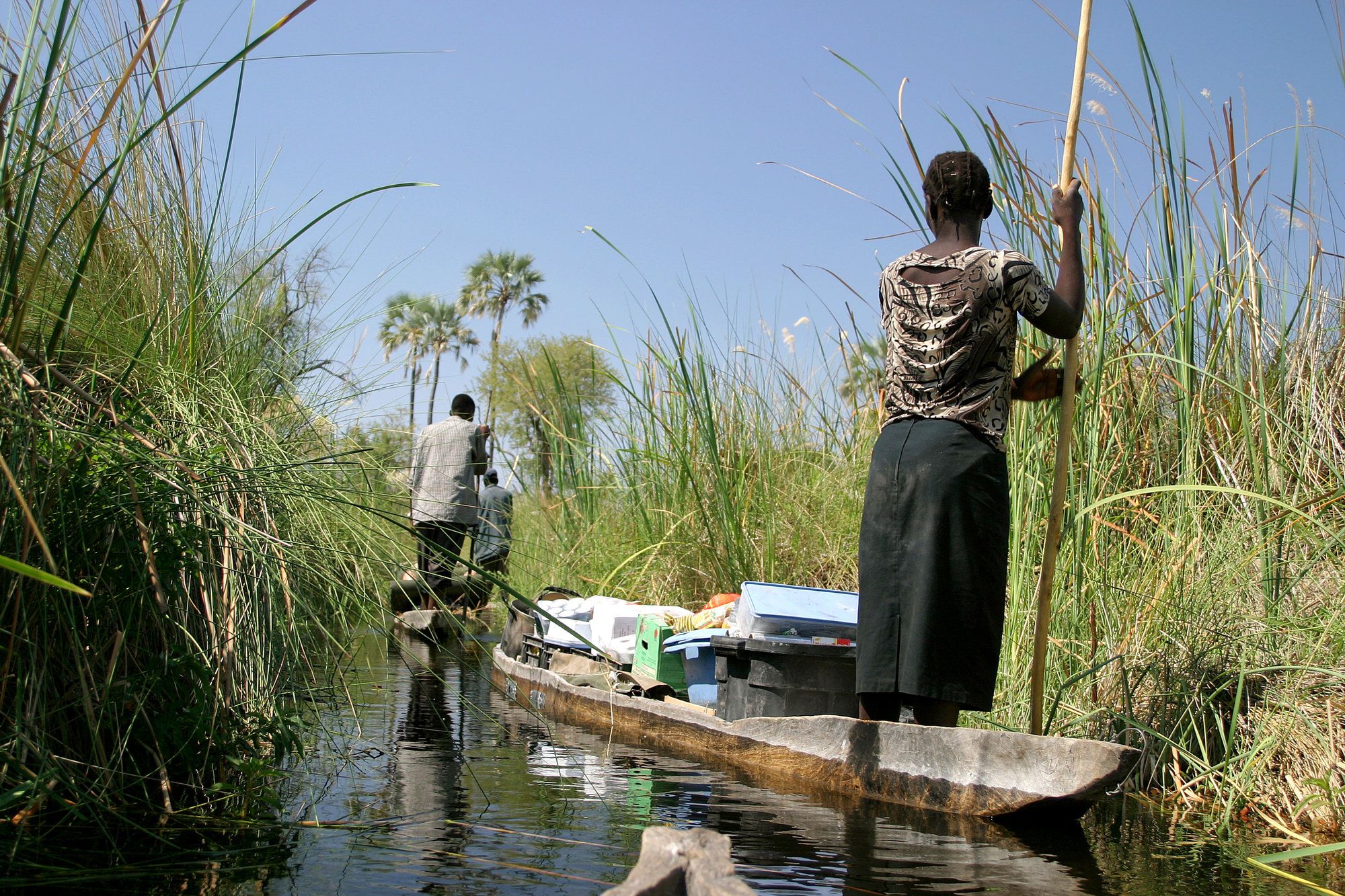 Il Botswana è oggi un esempio virtuoso di turismo ecosostenibile ©Melissa Schalke/Getty Images