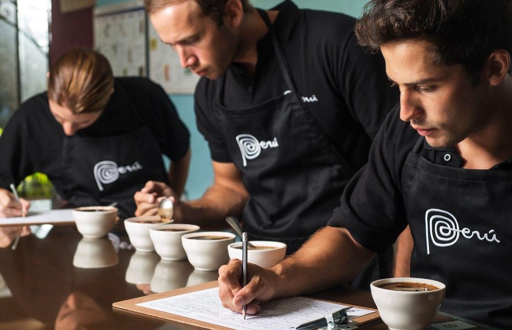 Coffee Cupping Credits Sandro Aguilar/ PROMPERÚ