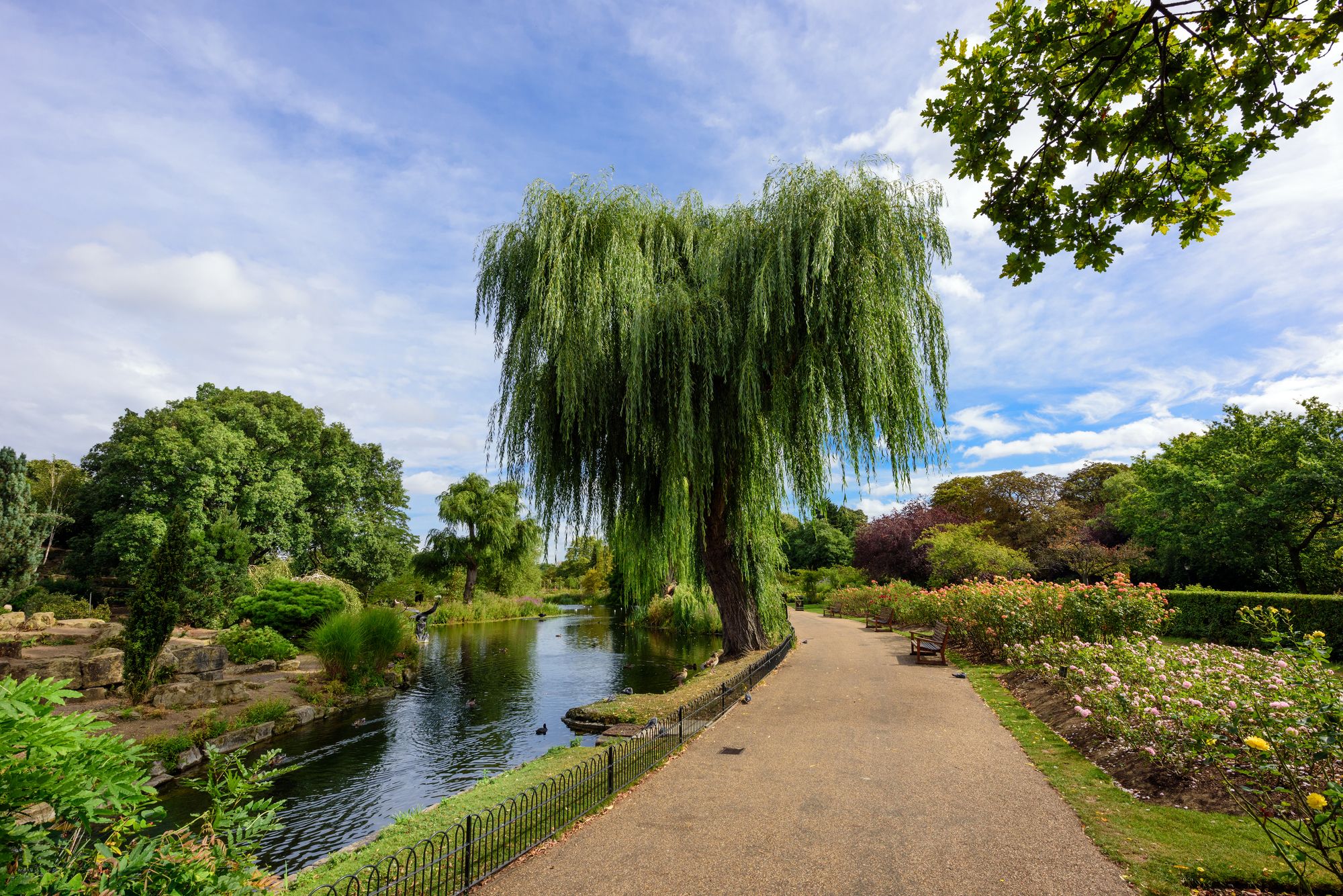 Queen Mary's Rose Gardens all’interno di Regent's Park, Londra ©Balakate / Shutterstock