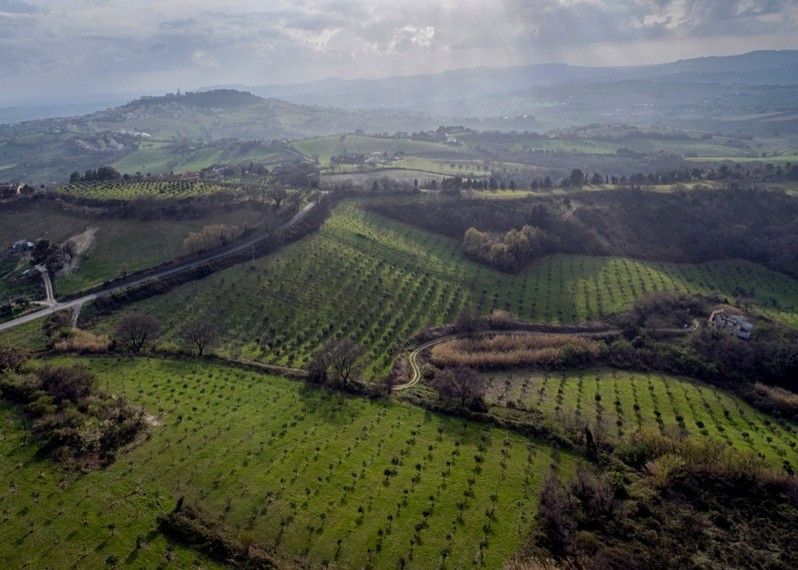 Veduta aerea di Camerano.