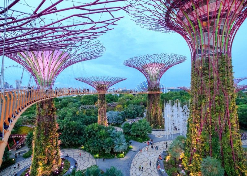 Veduta dalla passerella del Supertree Grove nei Gardens by the Bay, gli spettacolari giardini di Singapore
©FuuTaMin/Shutterstock