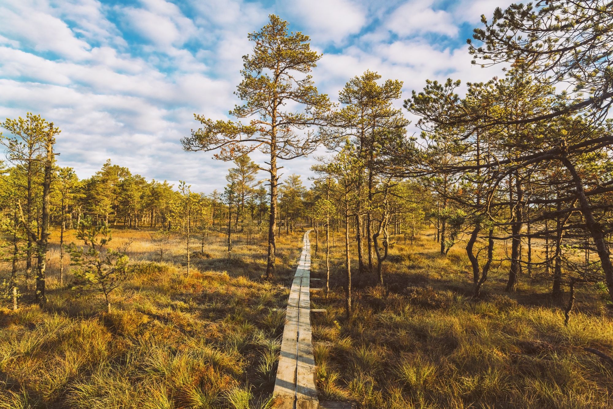 Natura in Estonia