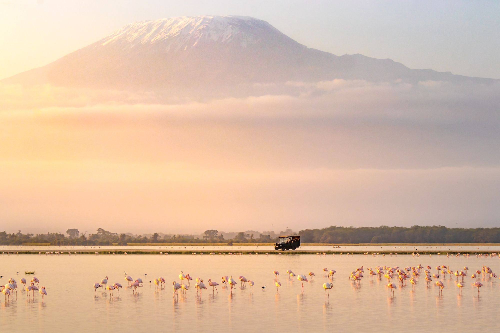 Da gennaio per visitare il Kenya non serve più il visto ©Gunter Nuyts/Shutterstock