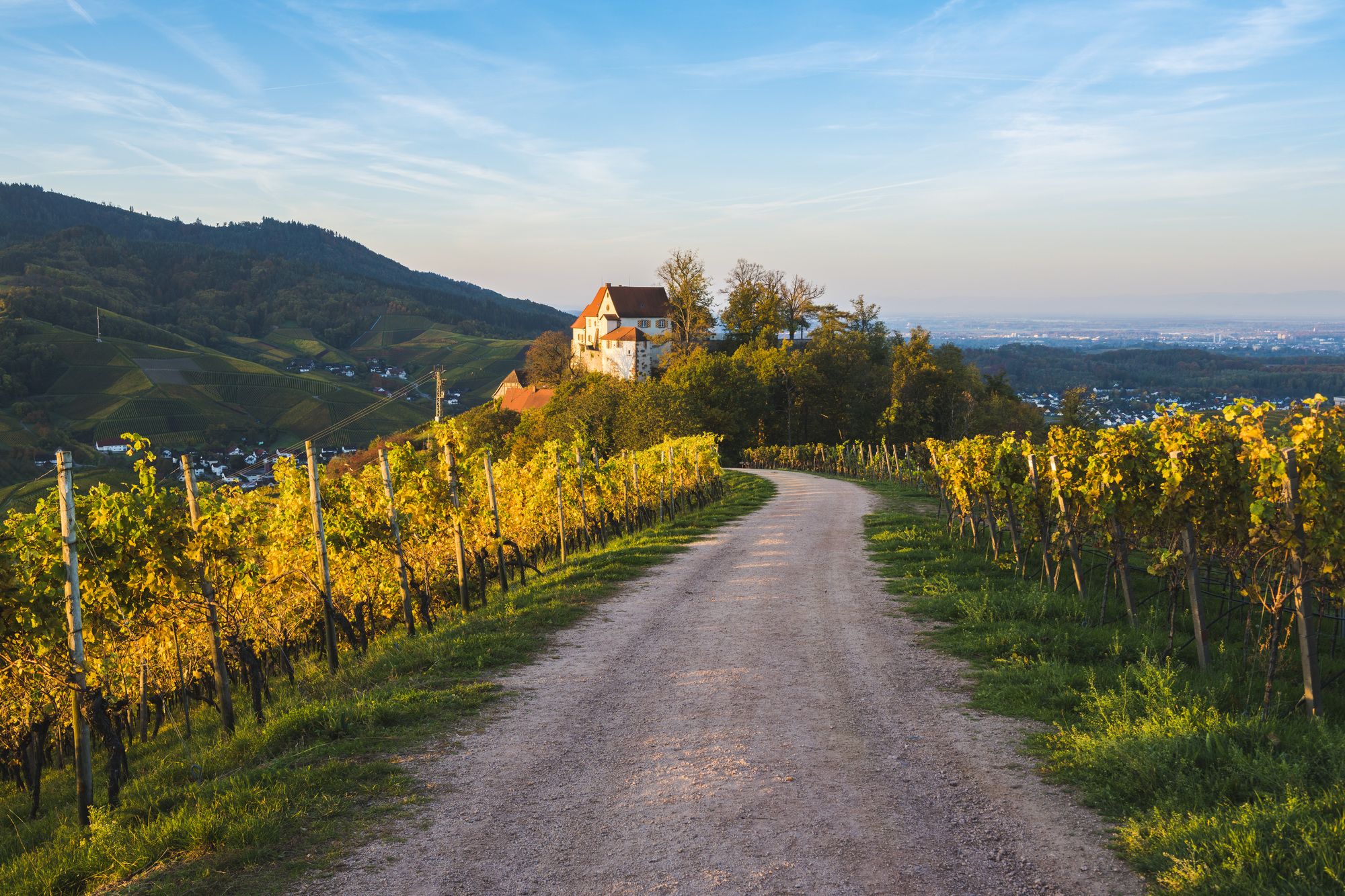 Vigneti e castello di Staufenberg a Durbach, Germania ©Marco Bottigelli/Getty Images