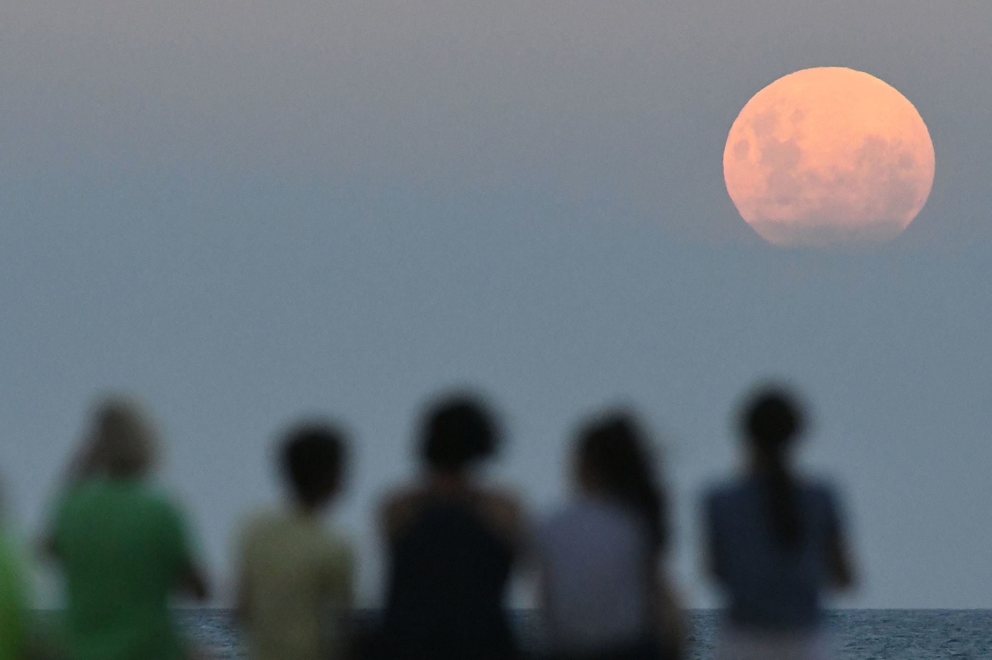 La superluna vista a Napier, in Nuova Zelanda ©Kerry Marshall/Getty Images