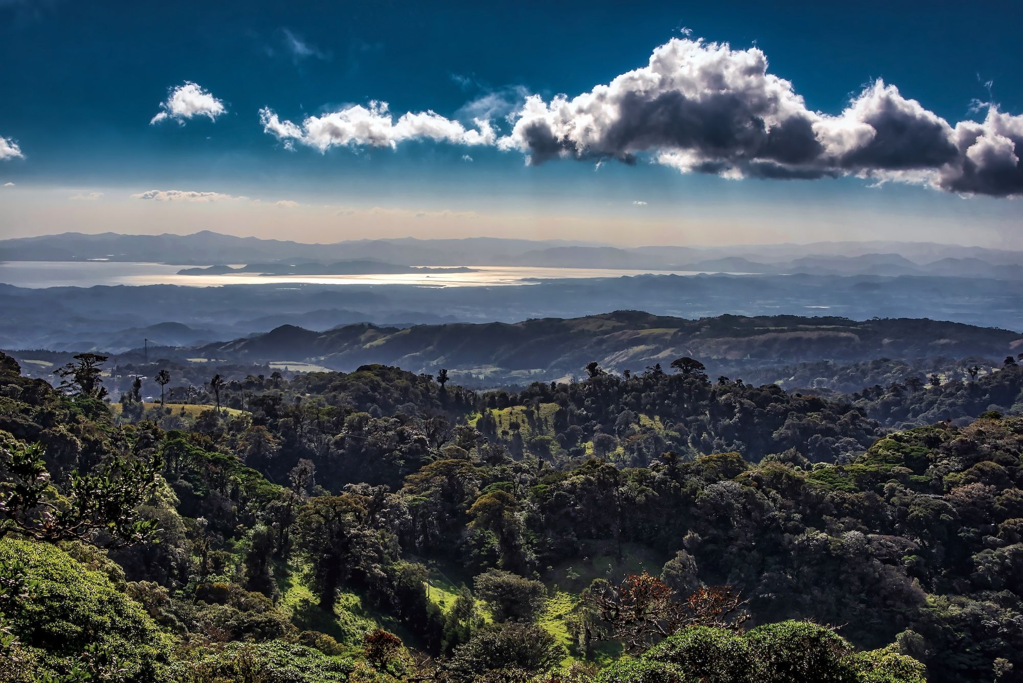 la lussureggiante vegetazione di Monteverde ©PAUL ATKINSON/shutterstock
