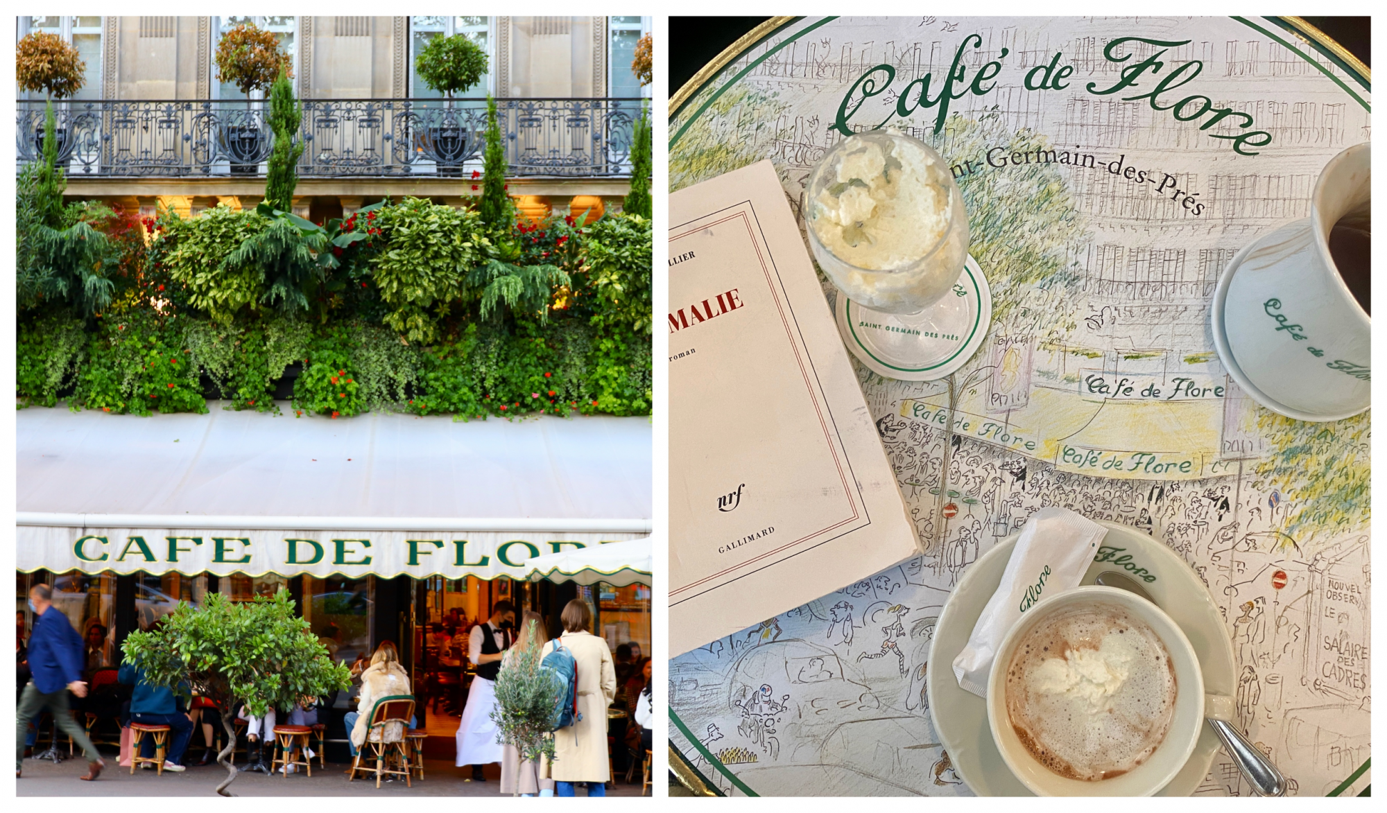 Cafe de Flore, Parigi