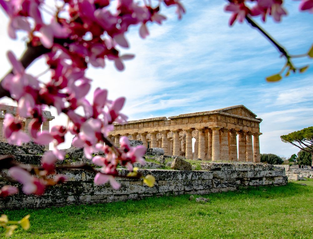 Paestum, un'eterna fioritura. Credits svandewiel / Shutterstock