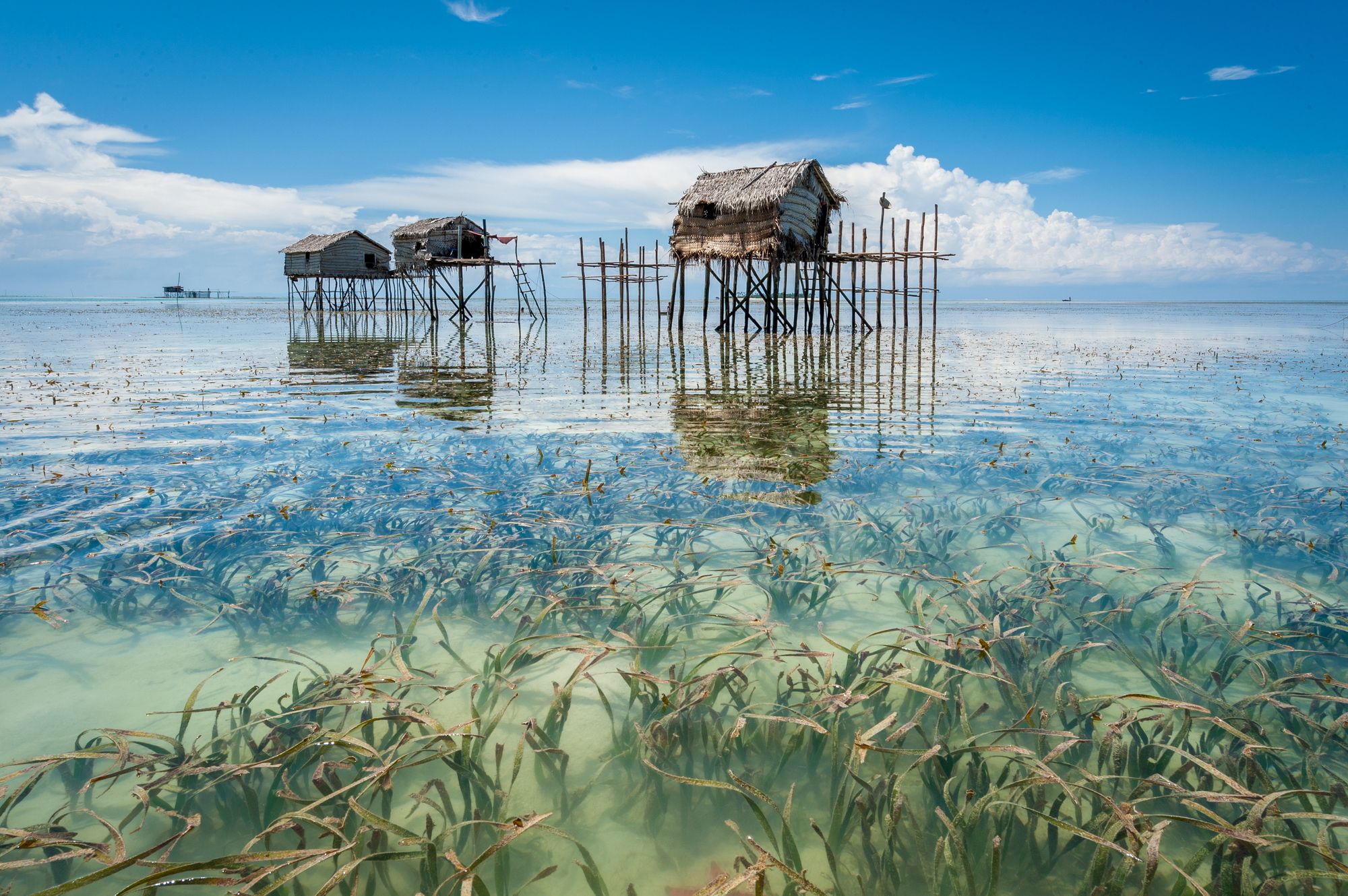 L’isola Tawau, nell’arcipelago Semporna, Borneo malese ©AlexGcs/Getty Images