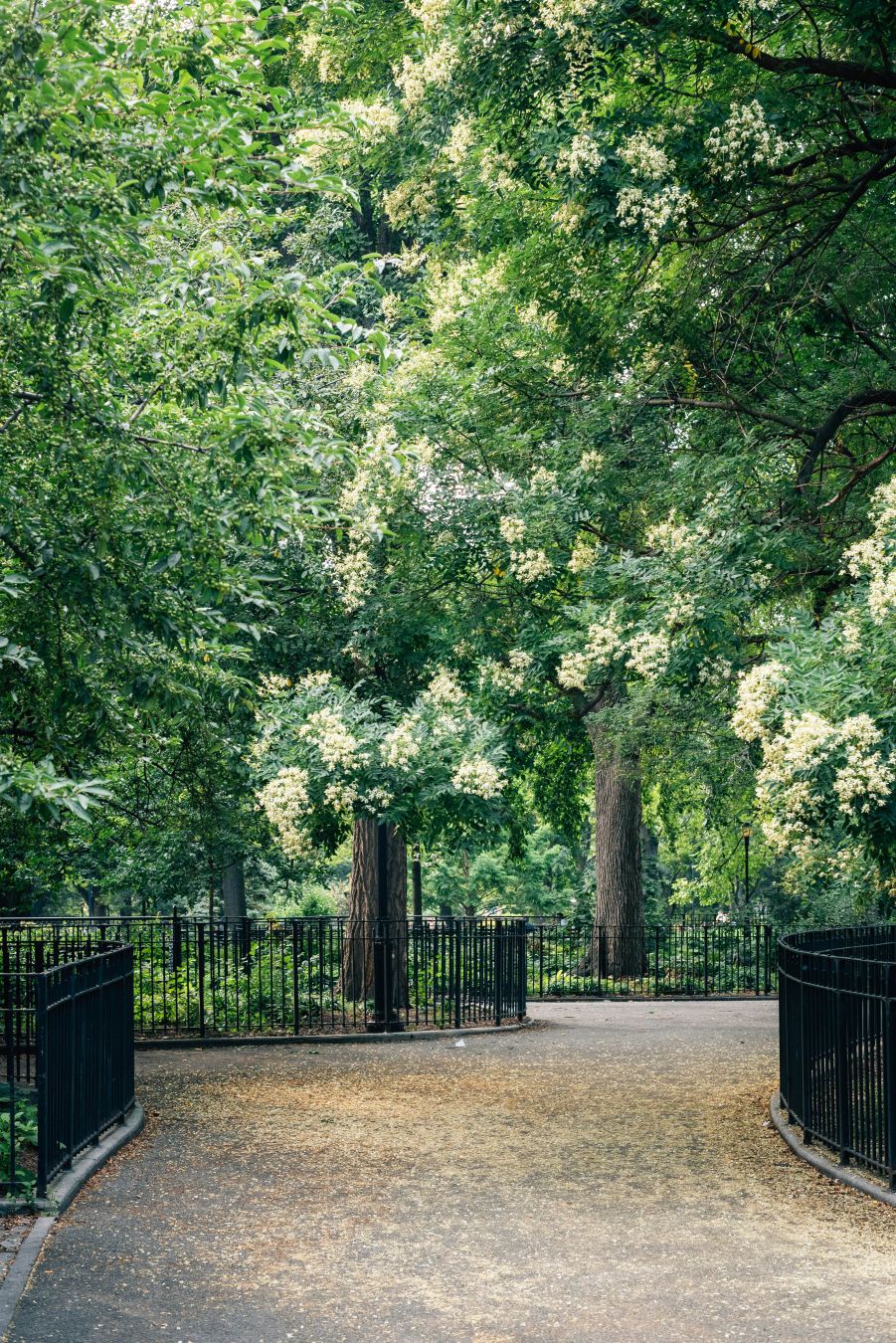 Tompkins Square Park. © Jon Bilous/Shutterstock