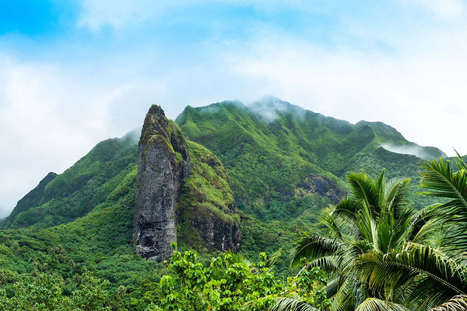 Il lussureggiante entroterra di Raiatea©gg-foto/Shutterstock