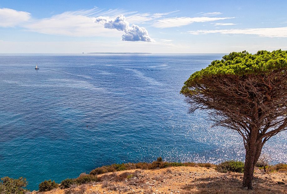 Pianosa vista dalla costa occidentale dell’Elba. Credits cherryyblossom / Shutterstock