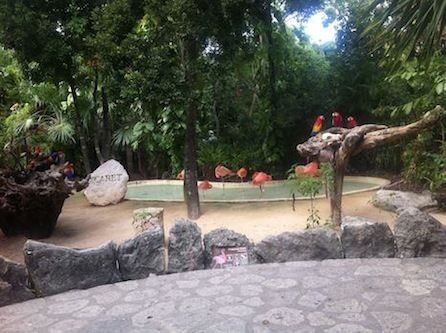 Xcaret, l'ingresso del parco
